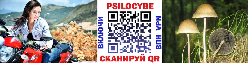 Галлюциногенные грибы Cubensis  Грязи 